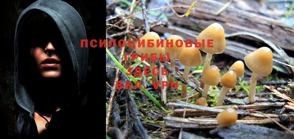 прущие крисы Абинск